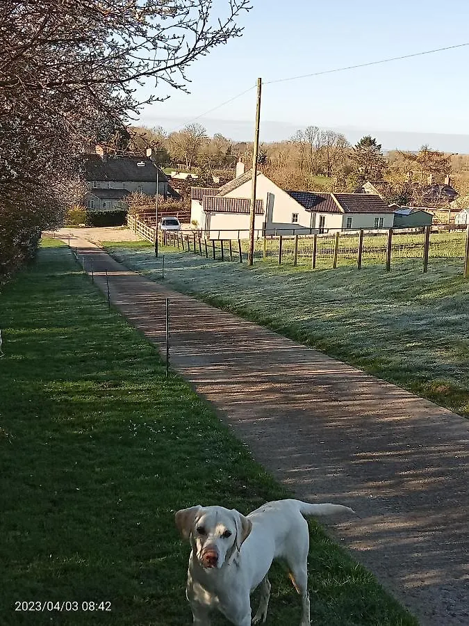 Rosegarth Bed And Breakfast Marton  Bed & Breakfast